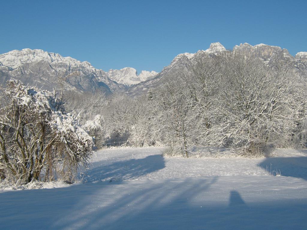 B&B Col Del Vin Μπελούνο Εξωτερικό φωτογραφία