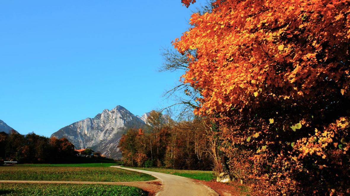 B&B Col Del Vin Μπελούνο Εξωτερικό φωτογραφία