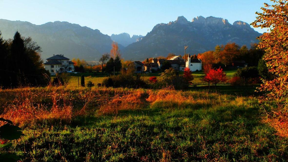 B&B Col Del Vin Μπελούνο Εξωτερικό φωτογραφία
