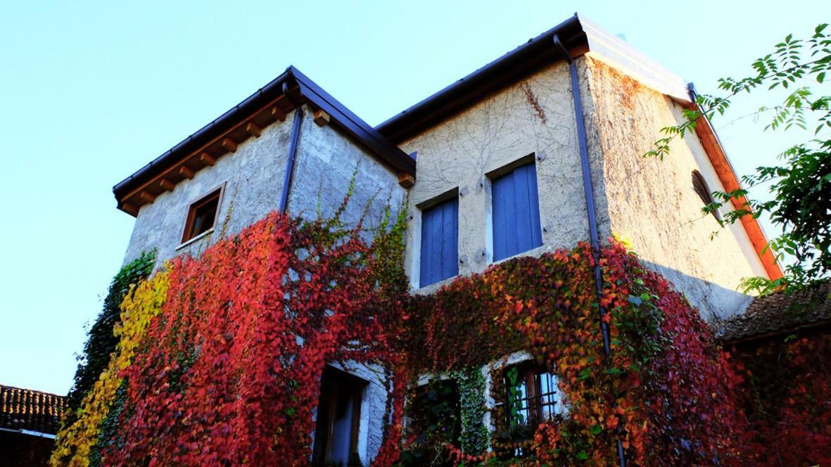 B&B Col Del Vin Μπελούνο Εξωτερικό φωτογραφία