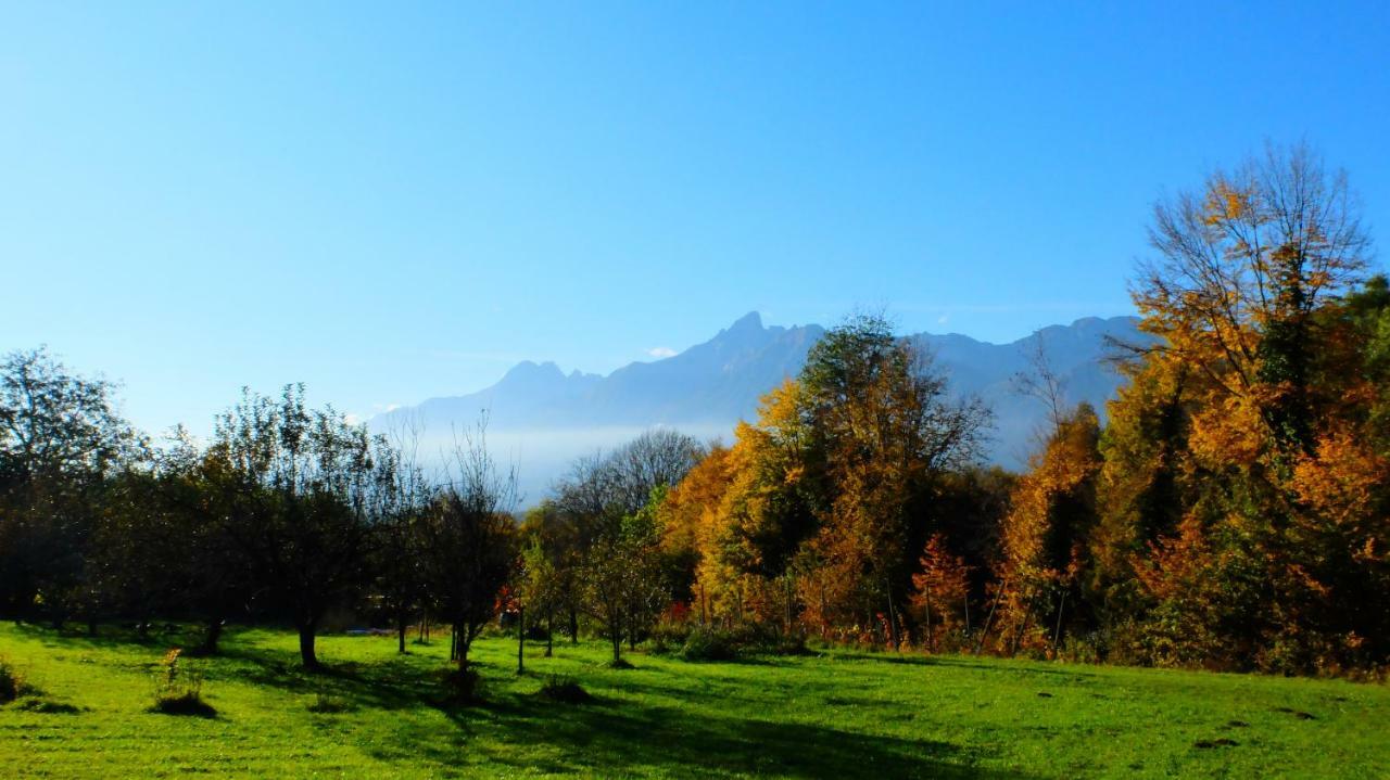B&B Col Del Vin Μπελούνο Εξωτερικό φωτογραφία